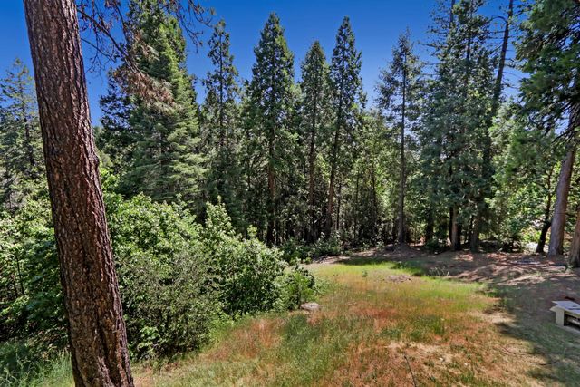 18980 Circle View Dr, Pioneer, CA 95666