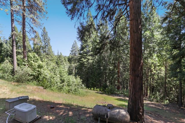 18980 Circle View Dr, Pioneer, CA 95666