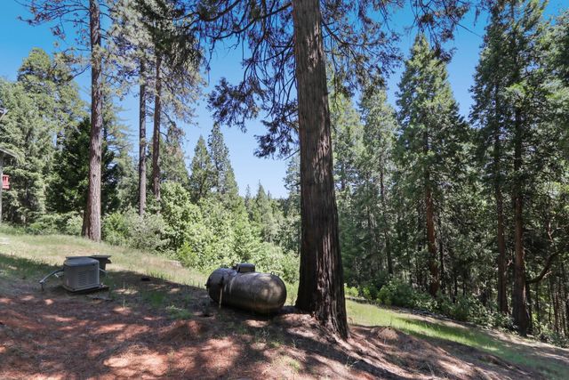 18980 Circle View Dr, Pioneer, CA 95666