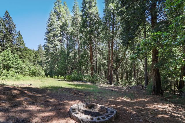 18980 Circle View Dr, Pioneer, CA 95666