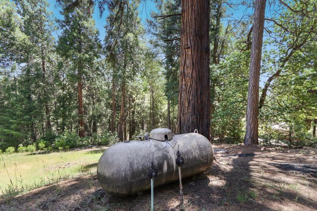 18980 Circle View Dr, Pioneer, CA 95666