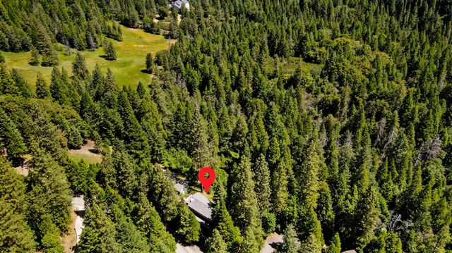 18980 Circle View Dr, Pioneer, CA 95666