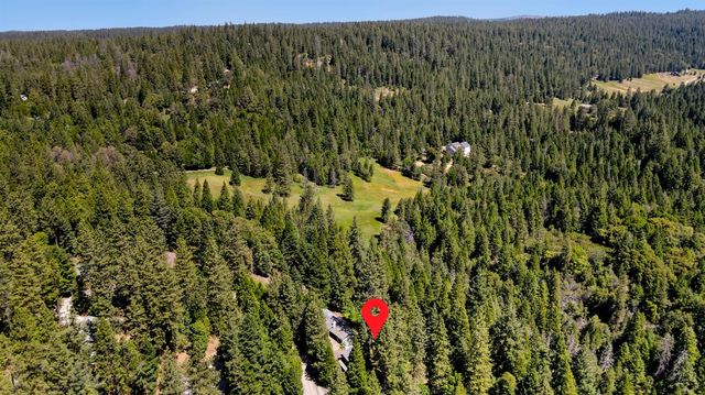 18980 Circle View Dr, Pioneer, CA 95666