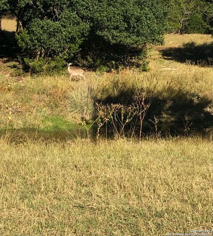 889 Long Meadow, Spring Branch, TX 78070