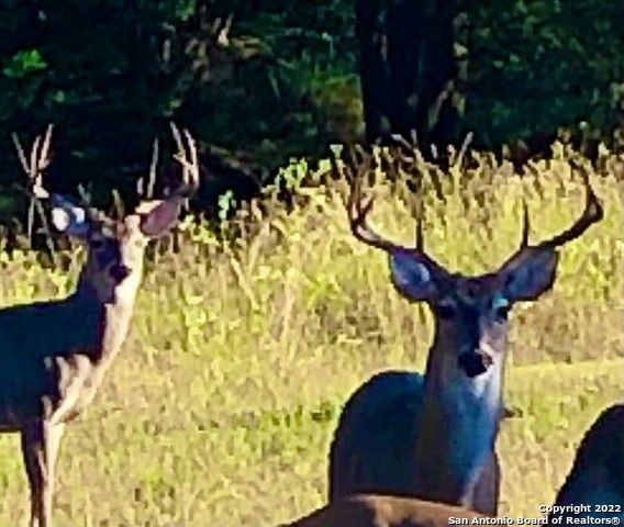 889 Long Meadow, Spring Branch, TX 78070