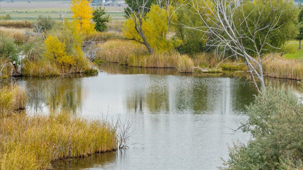 10052 Floating Island WAY, Shepherd, MT 59079 photo 33