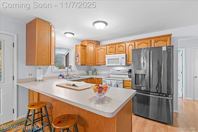 920 Del Sher Drive, Brighton, MI 48114