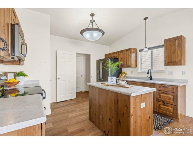 3312 Firewater Ln, Wellington, CO 80549