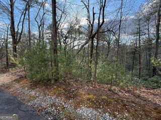 LOT 103 Lancelot Loop, Clayton, GA 30525