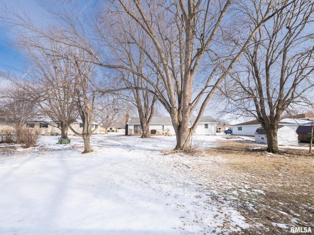 700 S HANCOCK Street, Tremont, IL 61568