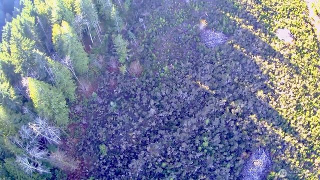 0 N US Highway 101, Shelton, WA 98584