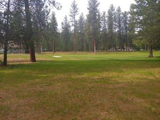 183 E Trappers Loop, Chewelah, WA 99109