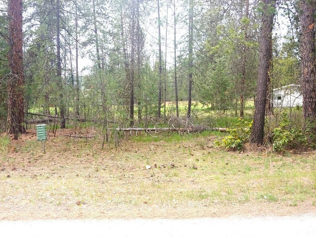 183 E Trappers Loop, Chewelah, WA 99109 photo 11