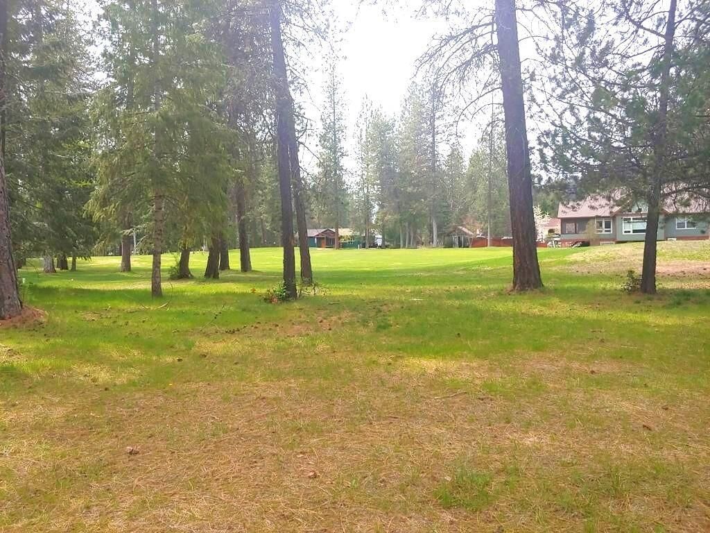 183 E Trappers Loop, Chewelah, WA 99109 photo 7