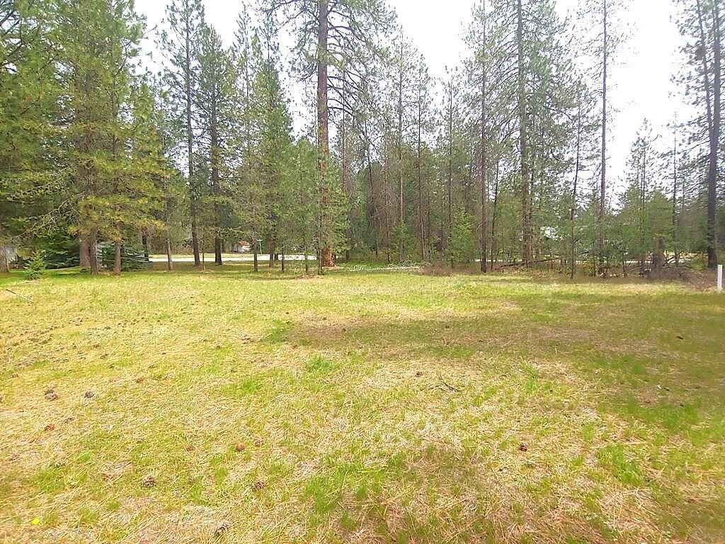 183 E Trappers Loop, Chewelah, WA 99109 photo 8