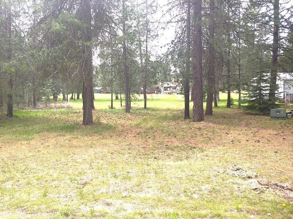 183 E Trappers Loop, Chewelah, WA 99109 photo 9