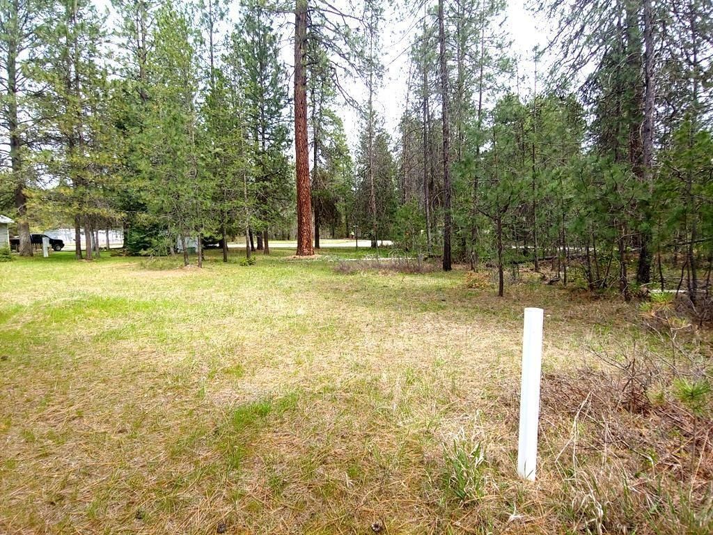 183 E Trappers Loop, Chewelah, WA 99109 photo 10
