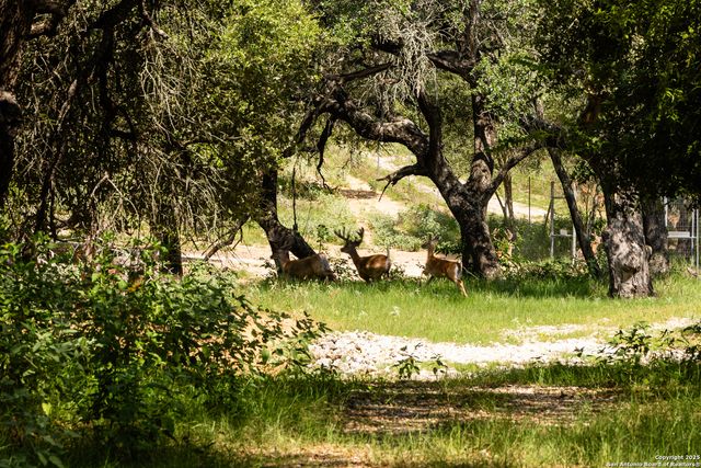 8841 Fm 775, La Vernia, TX 78121
