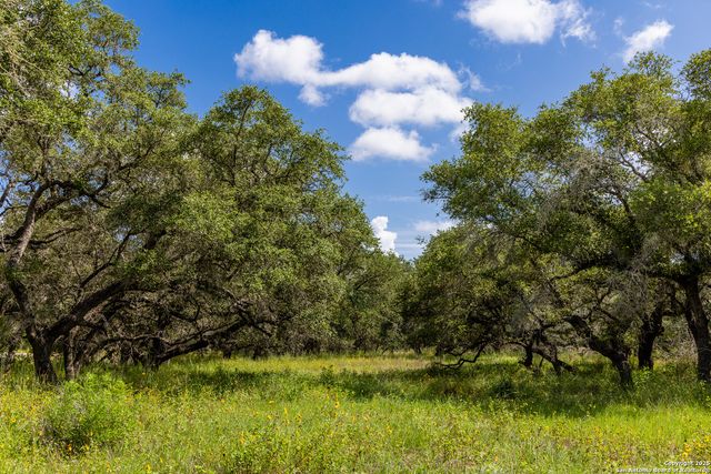 8841 Fm 775, La Vernia, TX 78121