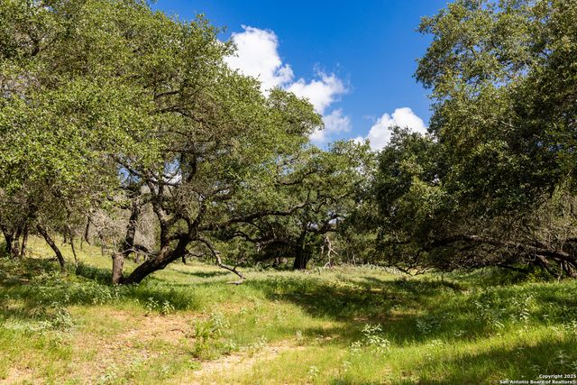 8841 Fm 775, La Vernia, TX 78121
