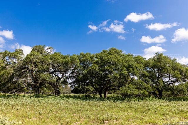 8841 Fm 775, La Vernia, TX 78121