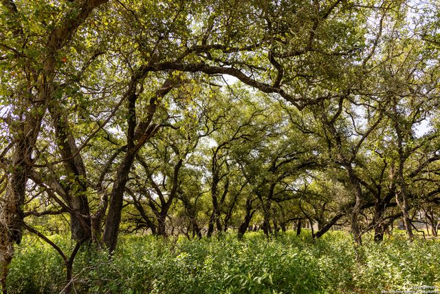 8841 Fm 775, La Vernia, TX 78121