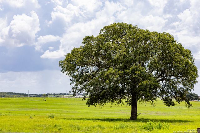 8841 Fm 775, La Vernia, TX 78121