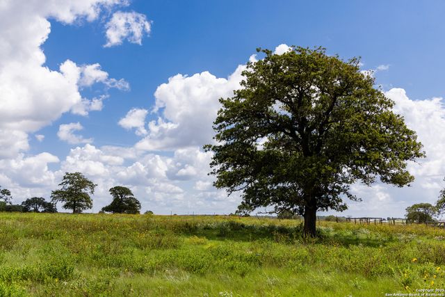 8841 Fm 775, La Vernia, TX 78121
