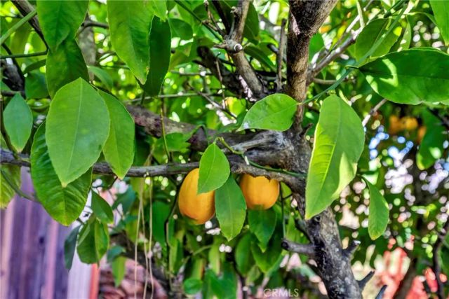 16593 Buckhorn Road, Hidden Valley Lake, CA 95467