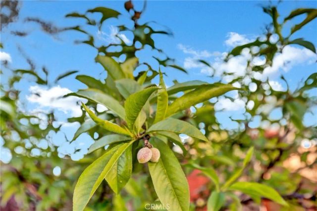 16593 Buckhorn Road, Hidden Valley Lake, CA 95467