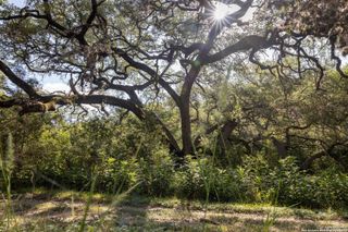 7622 Ramble, San Antonio, TX 78266