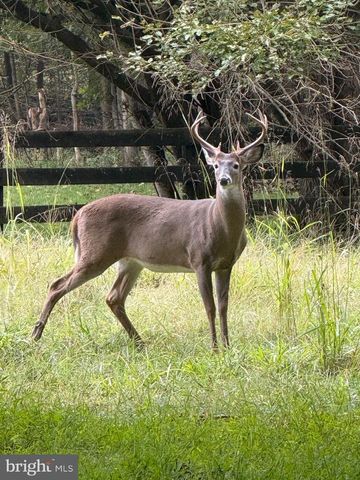 12080 AXLINE RD, Lovettsville, VA 20180