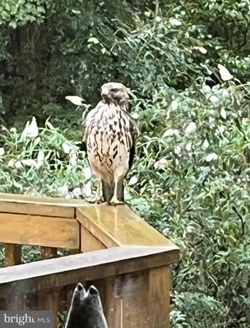 12080 AXLINE RD, Lovettsville, VA 20180