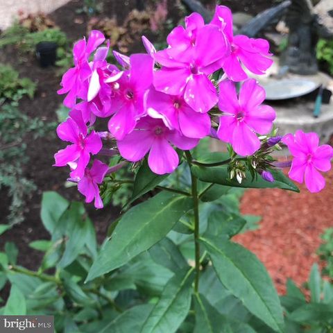 12080 AXLINE RD, Lovettsville, VA 20180