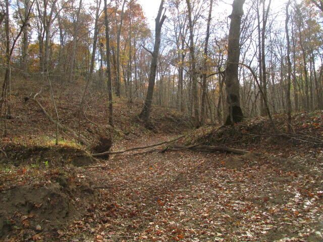 460 COUNTY RD 208, Fayette, MO 65248