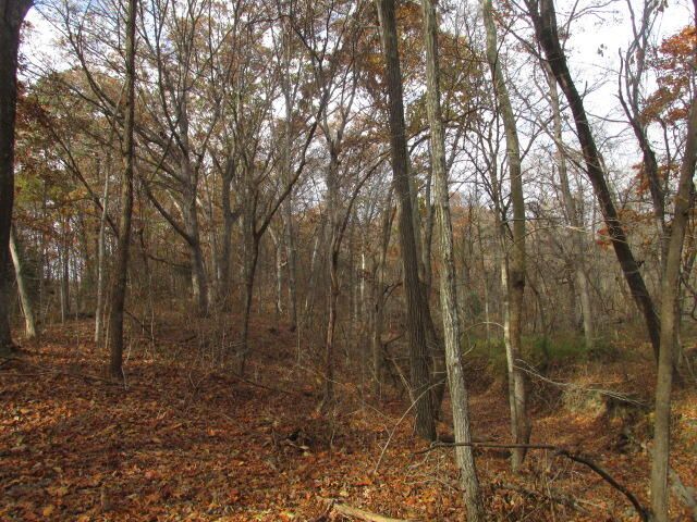 460 COUNTY RD 208, Fayette, MO 65248