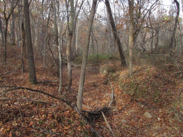 460 COUNTY RD 208, Fayette, MO 65248