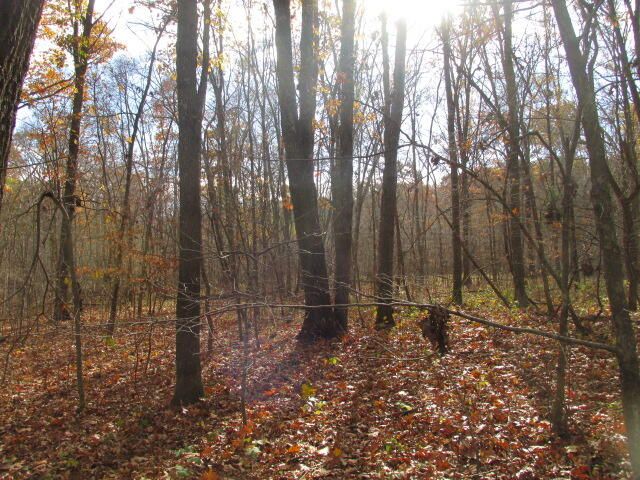 460 COUNTY RD 208, Fayette, MO 65248