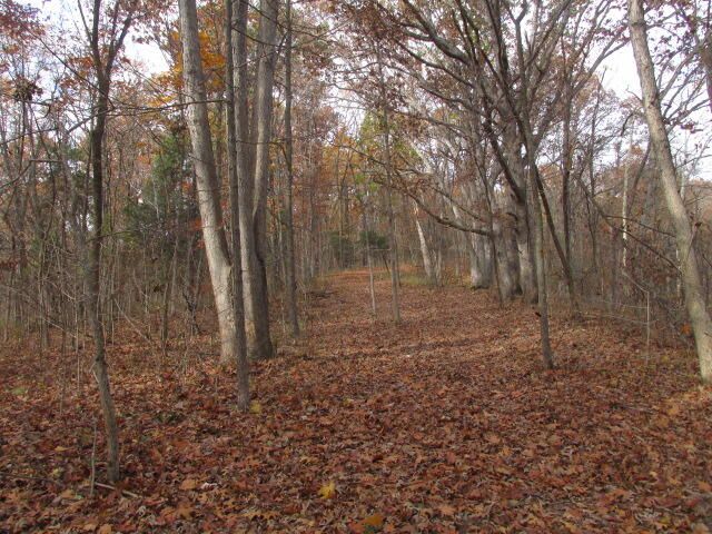 460 COUNTY RD 208, Fayette, MO 65248