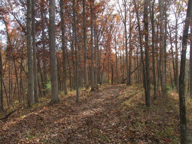 460 COUNTY RD 208, Fayette, MO 65248