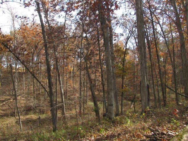 460 COUNTY RD 208, Fayette, MO 65248