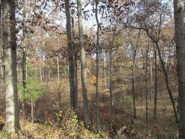 460 COUNTY RD 208, Fayette, MO 65248