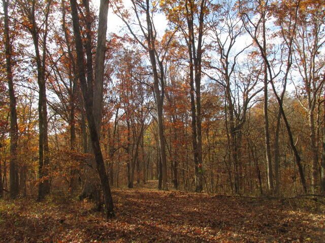 460 COUNTY RD 208, Fayette, MO 65248