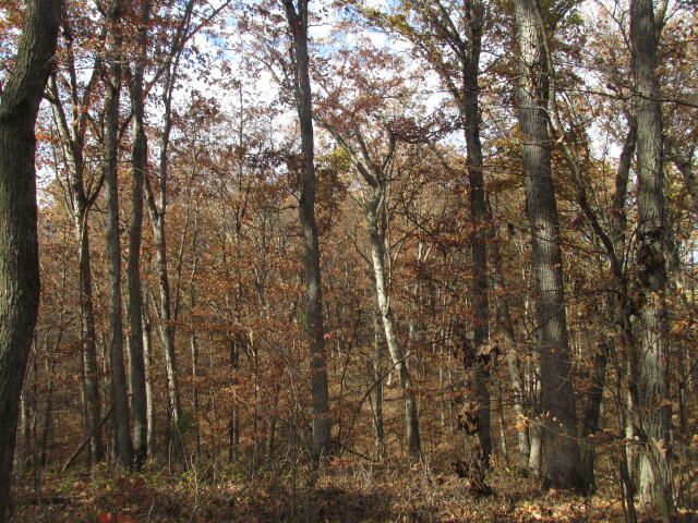 460 COUNTY RD 208, Fayette, MO 65248