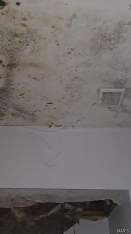 1200 N Euclid Avenue, St Louis, MO 63113