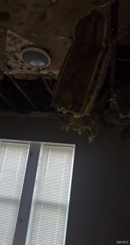 1200 N Euclid Avenue, St Louis, MO 63113