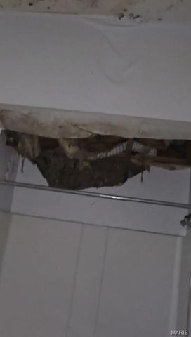 1200 N Euclid Avenue, St Louis, MO 63113