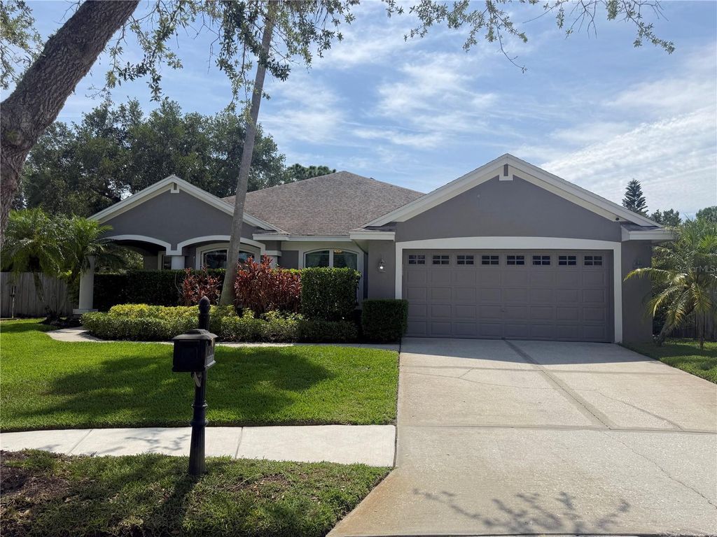 10501 ROCHESTER WAY, Tampa, FL 33626