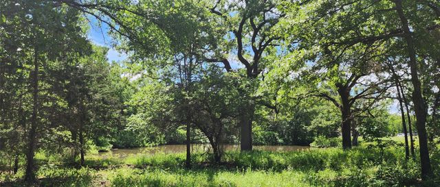 0000 Turner Road, Cross Roads, TX 76227