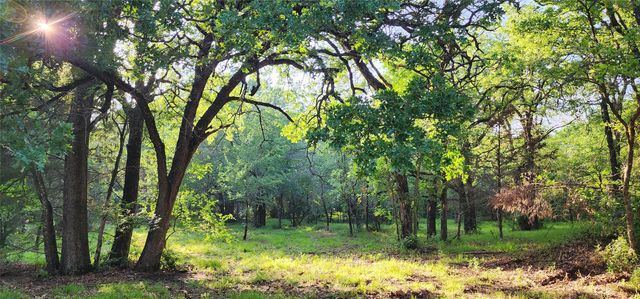 0000 Turner Road, Cross Roads, TX 76227